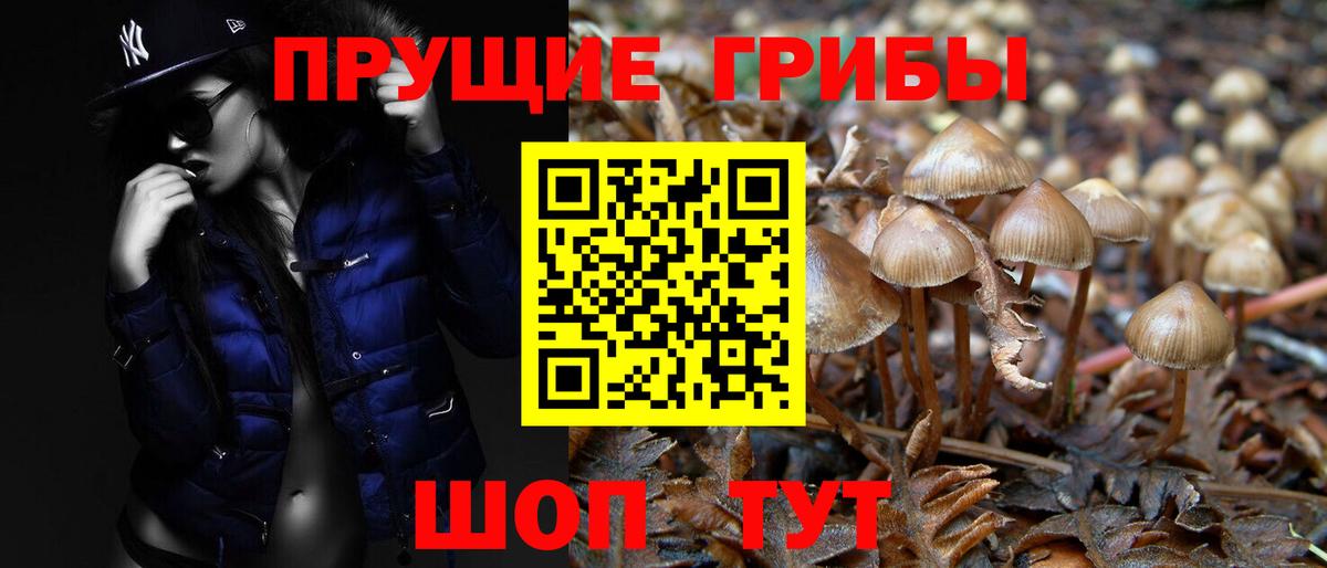 Псилоцибиновые грибы ЛСД  Вход с VPN  Россошь 
