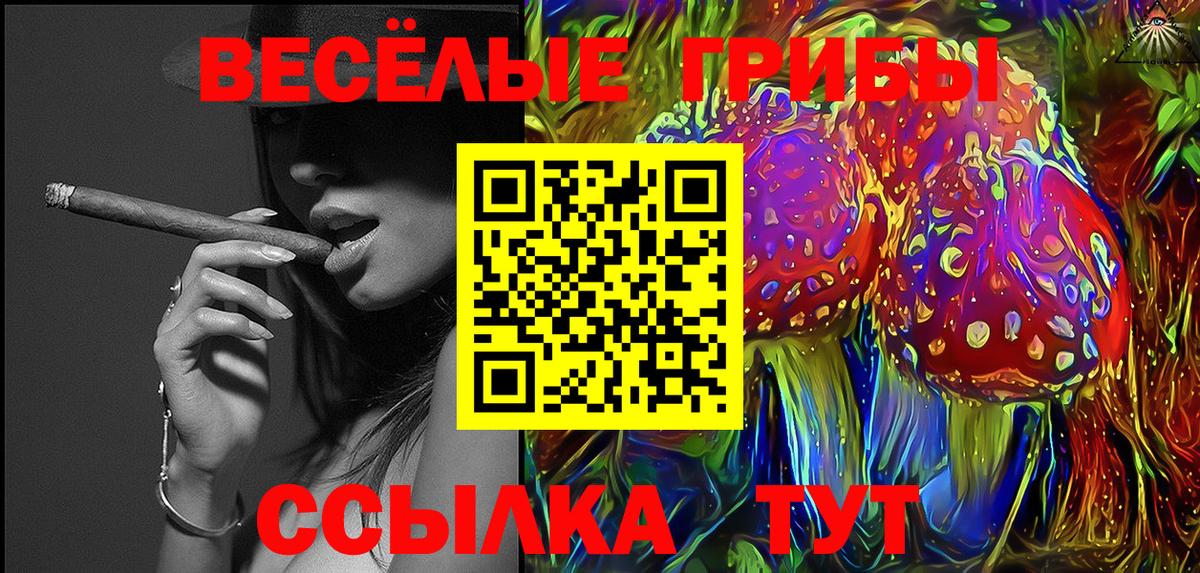 Галлюциногенные грибы Psilocybine cubensis Россошь
